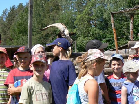 Dabas pētnieku nometne Līgatnes novada vidusskolā, 2011.gada jūnijs, foto Anda Andrušaite