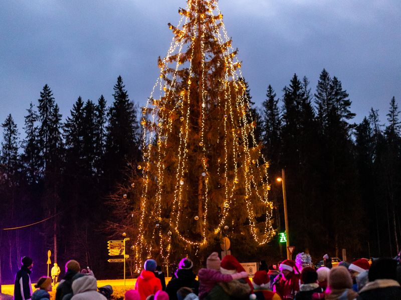 Ziemassvētku eglītes iedegšana Līgatnē un Augšlīgatnē 01.12.2024.