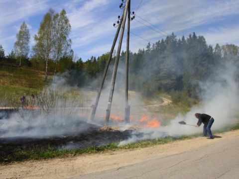 Līgatnē atkal dedzina, 08.05.2011., foto Anita Jaunzeme