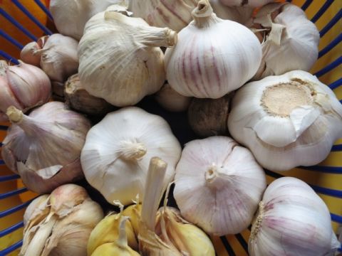 Veselības diena Augšlīgatnes bērnudārzā