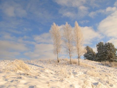 Līgatne ziemā, 2010., foto Anita Jaunzeme