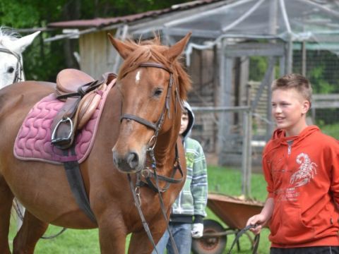 Līgatnes novada vidusskolas skolēni talkā pie Airas Rēveles  Lauku sētā &quot;Laimes zeme&quot;, 26.05.2011., foto Liene Pīlēģe