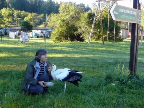 Stārķēns Toļiks, foto no Velgas Vītolas foto arhīva