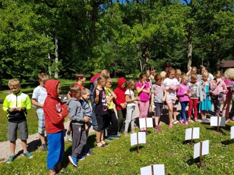 Dabas pētnieku nometne Līgatnes novada vidusskolā. Nometnes skolotāju foto.