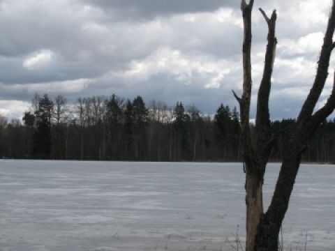 Ratnieku ezers, 10.04.2011., foto Ainārs Šteins