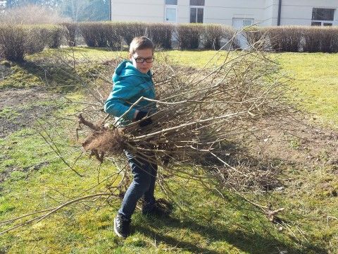 Pavasara talka Līgatnes novada vidusskolā. Foto Aija Ziediņa.