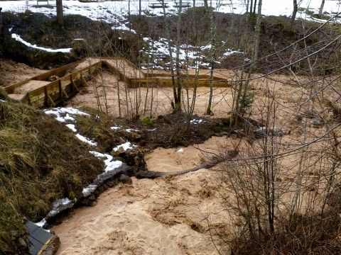 Līgatnes upītes pārsteigumi, 07.03.2015., foto Visvaldis Akmentiņš