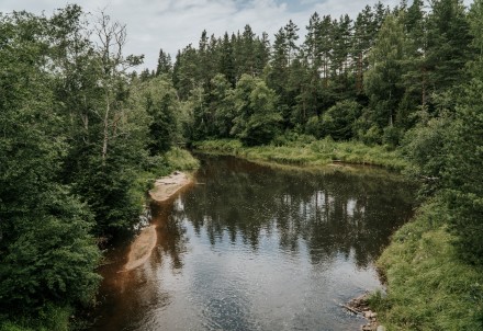 Cēsu novada skolu jauniešiem iespēja pieteikties dabas izziņas nometnēm