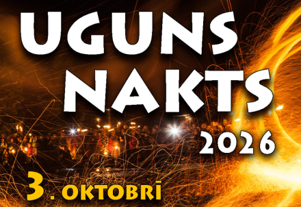 Uguns nakts Vienkoču parkā